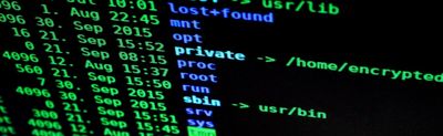Cookies and Privacy